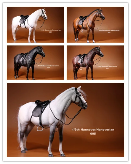mr z model horse