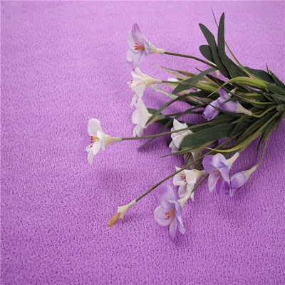 Coral velvet memory cotton carpet solid color door mat non-slip absorbent living room rug bedroom stairs anti-slip carpet