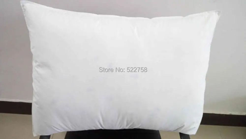 3 chambers goose down pillow (3)_