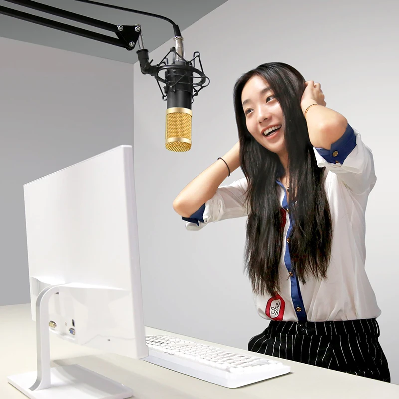 Professional condenser microphone BM 800 BM-800