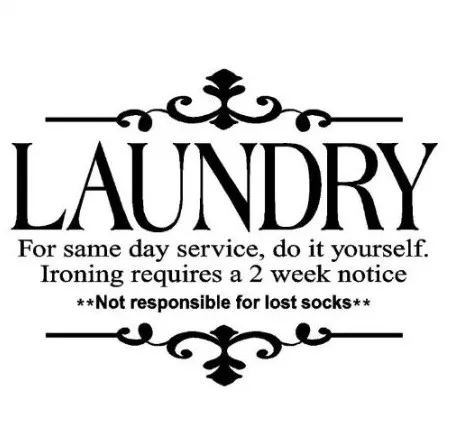 https://ae01.alicdn.com/kf/HTB1hFOaKFXXXXbZXVXXq6xXFXXXU/Laundry-for-same-day-service-do-it-yourself-20-x-27-vinyl-lettering-wall-sayings-home.jpg_640x640.jpg