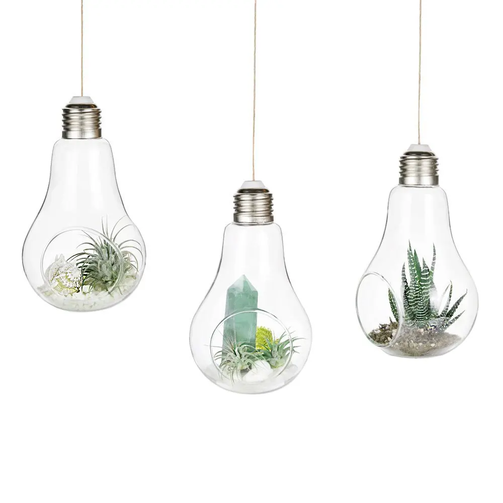 

Set of 3 Glass Hanging Planters Glass Bulb Planters Hanging Air Plant Containers Hanging Glass Terrariums