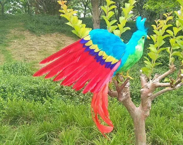 

real life toy bird beautiful feathers Phoenix bird about 40x50cm spreading wings bird garden decoration prop toy gift h1896