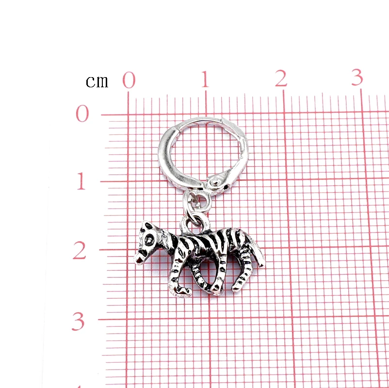 European Vintage Gold Silver Minimalist Zebra Hoop Earrings Punk Female Earring Women Men Jewelry Statement Metal Earrings (5)