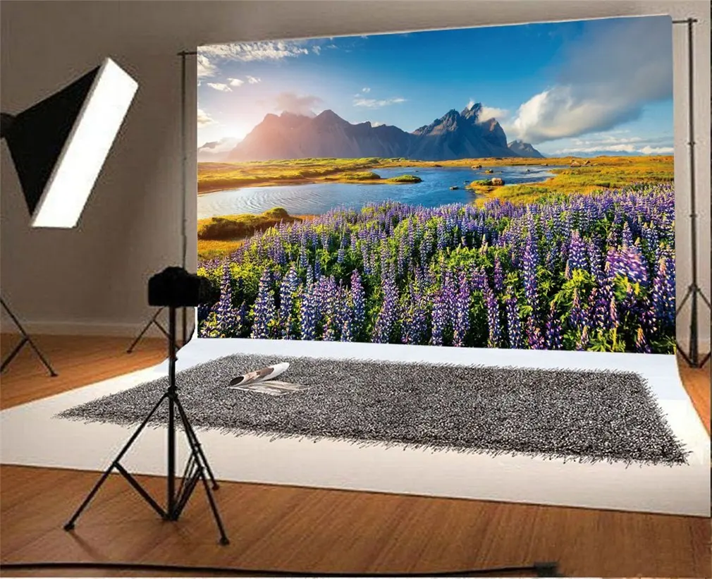 

Photography Backdrop Blooming Lupine Flowers on Stokksnes River Blue Sky Nature Landscape Mountain