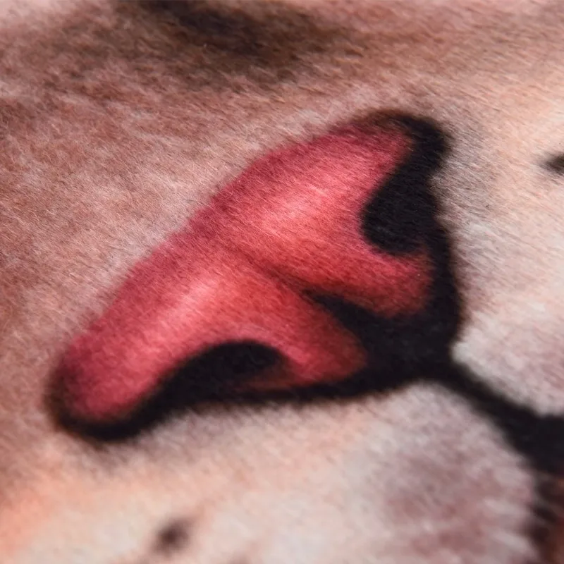 TB2FW2wqFXXXXXJXpXXXXXXXXXX_!!2193552176