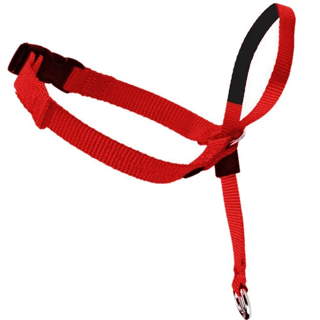 Pet Dog Nylon Muzzle with Leash Rope Puppy Painless Head Leash Easy