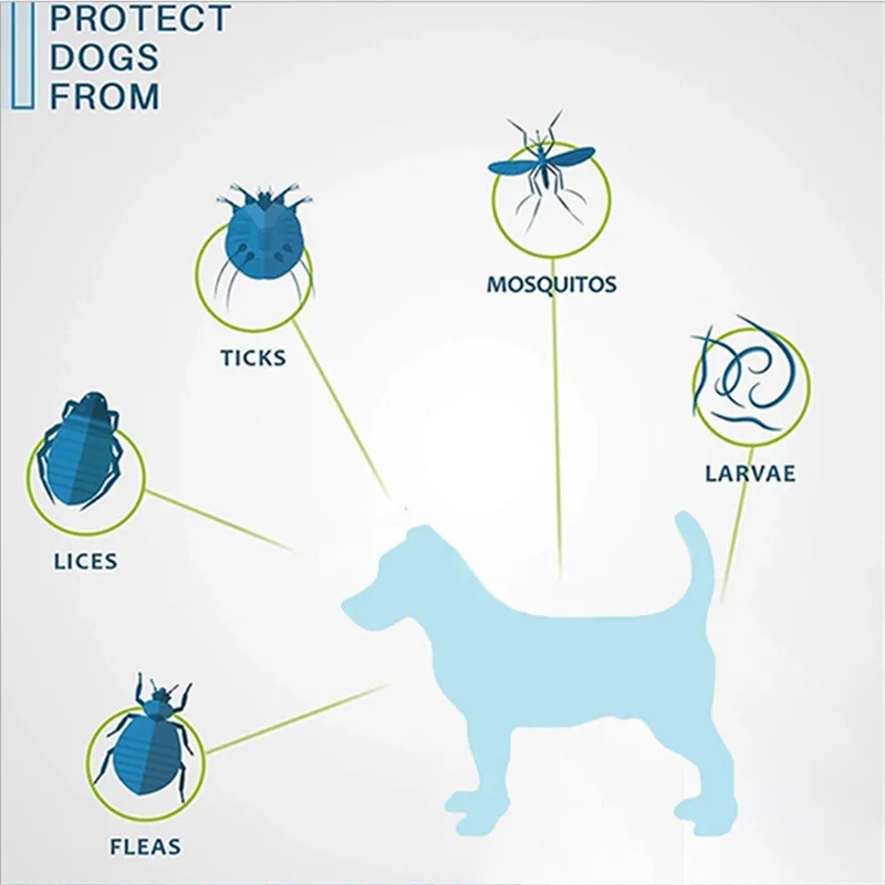 dog repellent essential oil