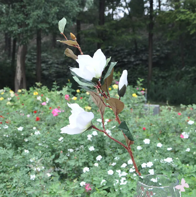 prese-di-fabbrica]-fiore-di-magnolia-fiore-artificiale-fabbrica-di-fiori-artificiali-simulazione-matrimonio-inaugurazione-della-casa-aperto-con