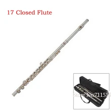 Professional 17 C Key Holes Opened Silvering C Flute Piccolo Flute Musical Instruments with Bag