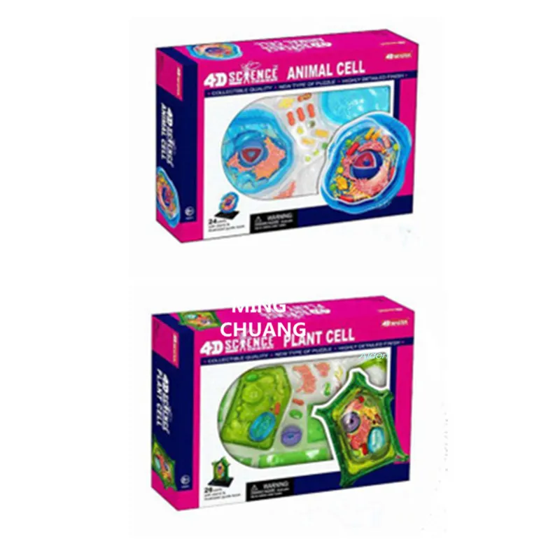 

4D XXRAY BRIAN Puzzle Original Fake Organelle Anatomy DIY BFF Street Art Plastic Action Figure Model Toy BOX 27CM Z1476