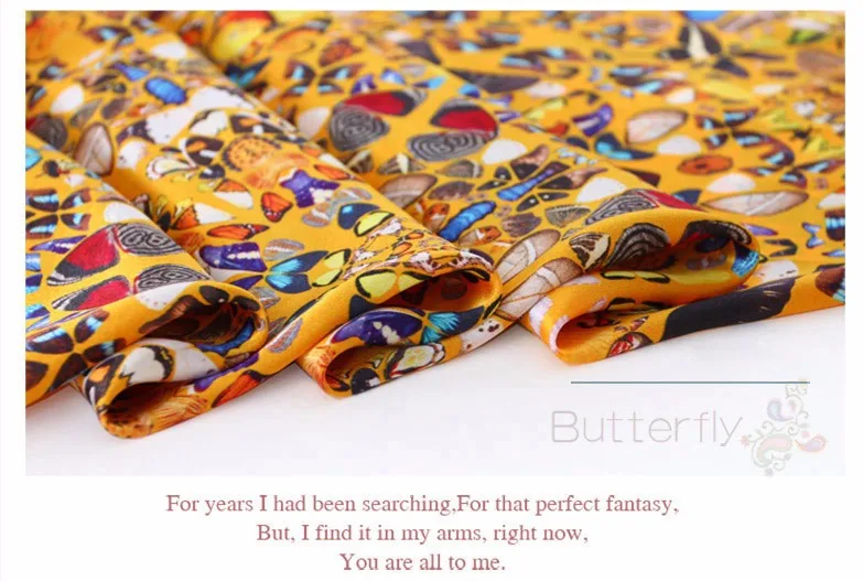 Butterfly_04