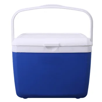 

Small Mini PP Cold Preservation Heat Preservation Outdoor Outing Portable Car Refrigerator Incubator