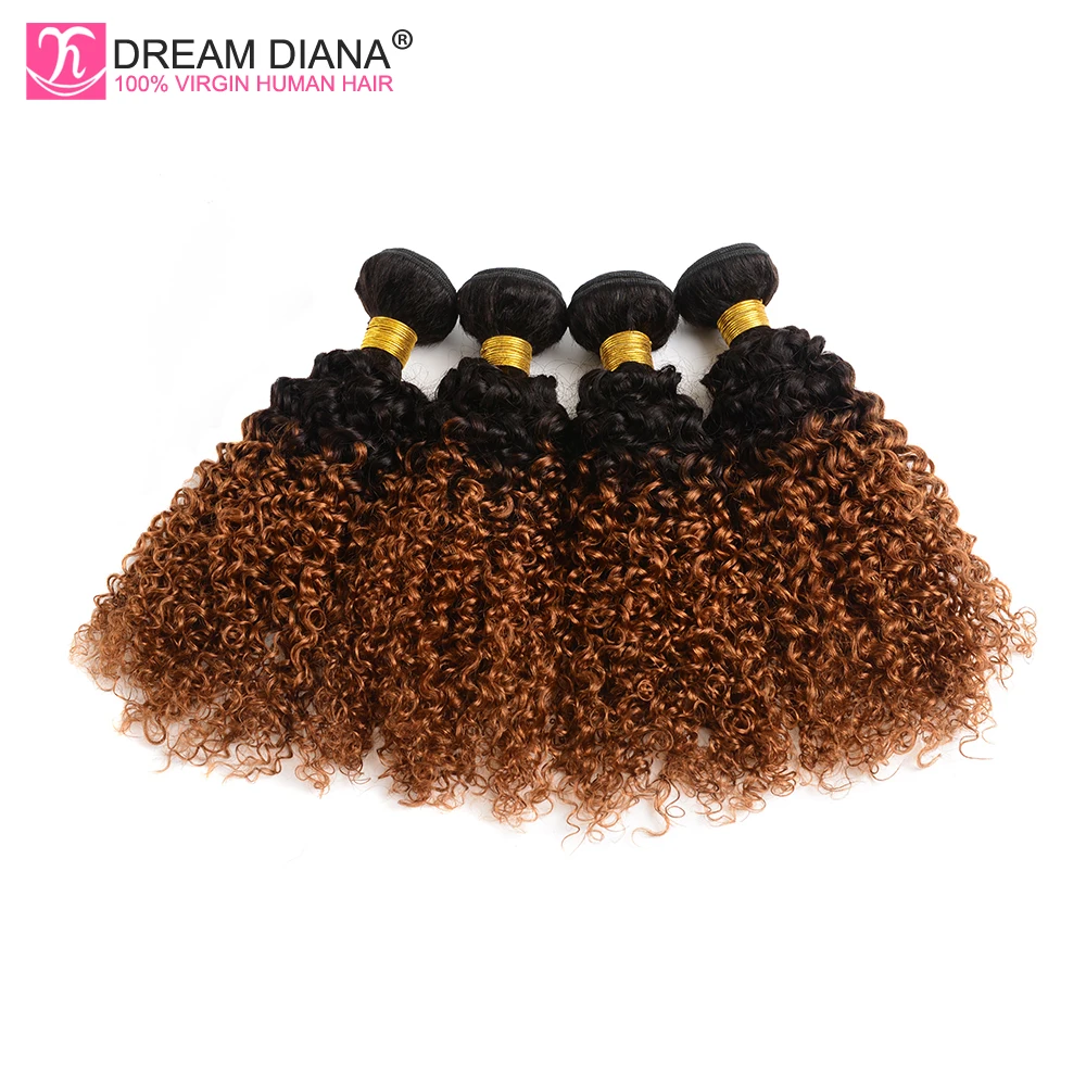 DreamDiana Ombre Pelo Rizado paquetes dos colores 1B 30 Ombre pelo indio 1/3/4 paquetes Remy Ombre entrega exprés de cabello humano marrón DreamDiana Ombre Pelo Rizado paquetes dos colores 1B 30 Ombre pelo indio 1/3/4 paquetes Remy Ombre entrega exprés de cabello humano marrón