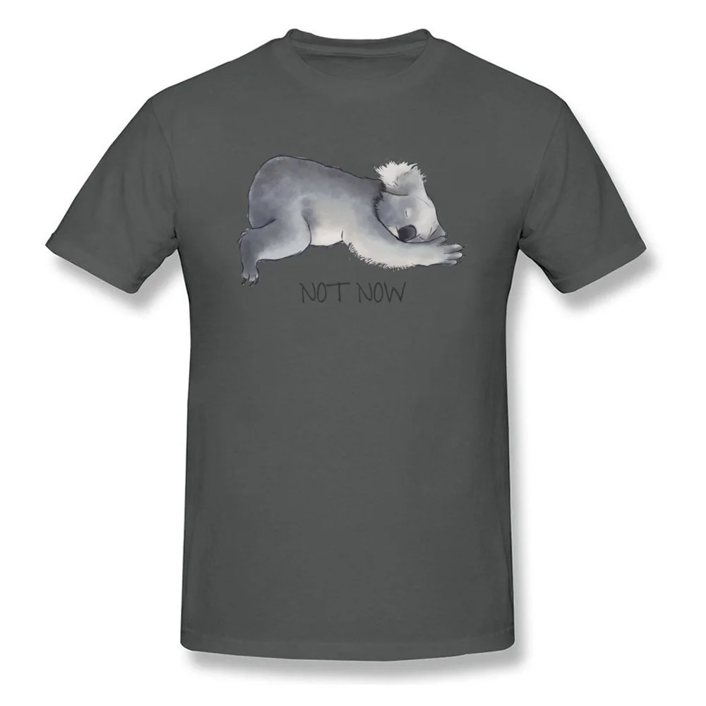 Koala Sketch - Not Now - Lazy animal_carbon