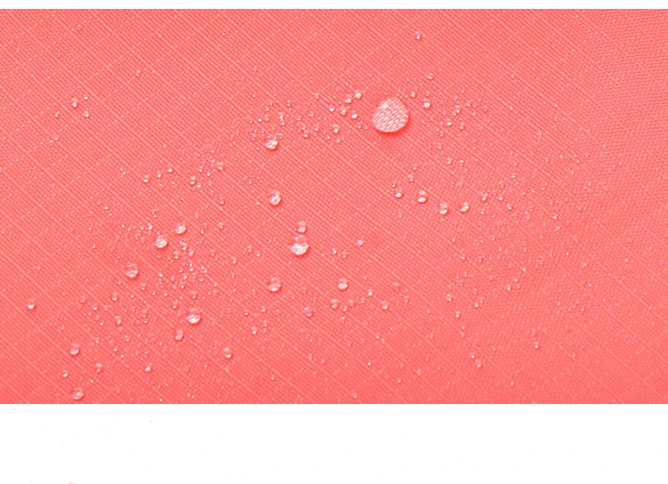 4197793779_1404522706