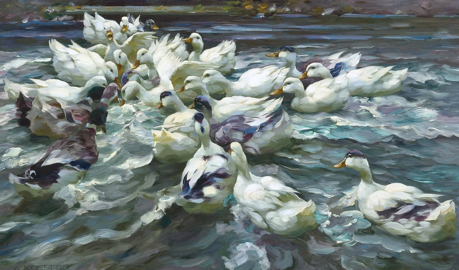 Unframed Canvas Prints Ducks In A Pond By Alexander Koestercanvas