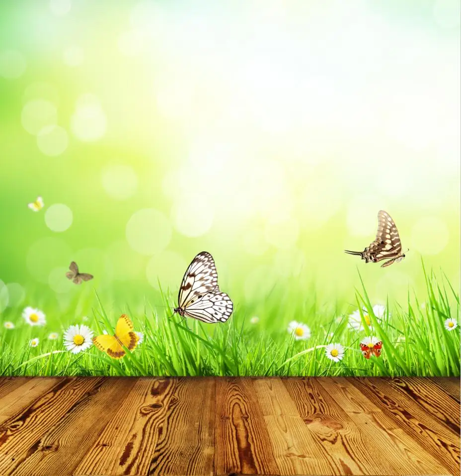 

SHANNY 10x10ft Vinyl Custom Photography Backdrops Prop Fairy Tale Photography Background NTW-73