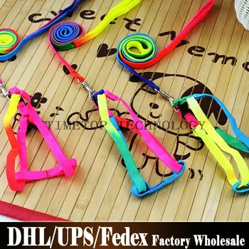 

50Pcs/Lot Pet Dog Cat Safety Harness Adjustable Dog Pulling Rope Pets Dog Leash Seven Color