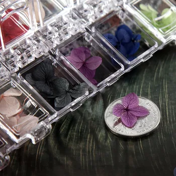 

12 Colors 3D Dried Flower Stickers Set Real Dry Petal Design UV Gel Nail Art Polish Tips Decoration DIY Manicure Tools 88
