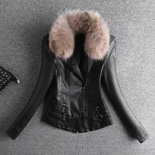 Курточка бомбер длинный рукав короткий длина сплошной отложной воротник молния Тонкий стандартной толщины