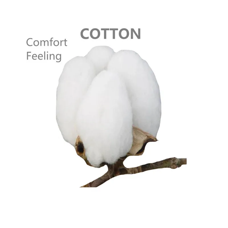 MYORED 5 pairs/lot woman socks set women cotton invisible socks female socks cartoon animal pattern lady socks slippers NO BOX MYORED 5 pairs/lot woman socks set women cotton invisible socks female socks cartoon animal pattern lady socks slippers NO BOX