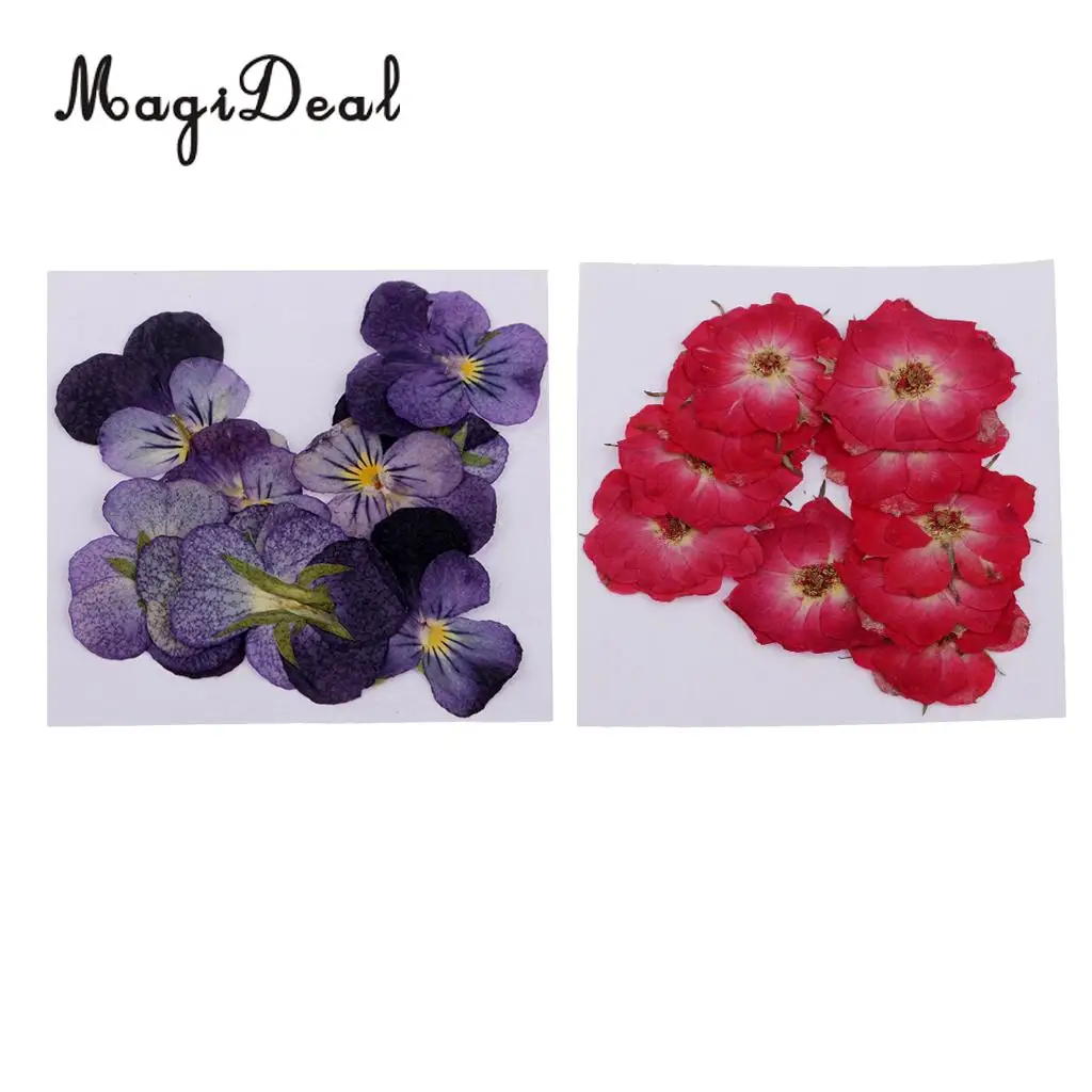 22pcs Natural Real Rose Flower Violet Dried Pressed Flowers for Scrapbooking Crafts