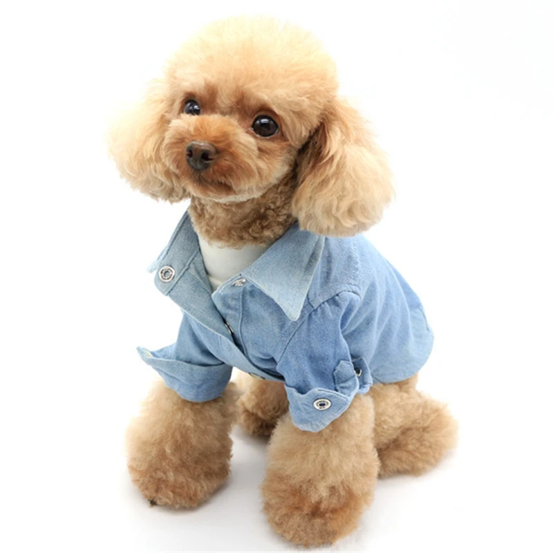Dogs t shirts (1)