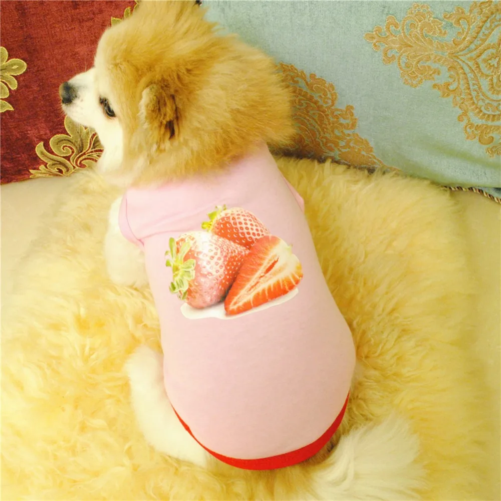 Title 128, Pet Dog Clothes for Dogs Clothing for Small Dog...