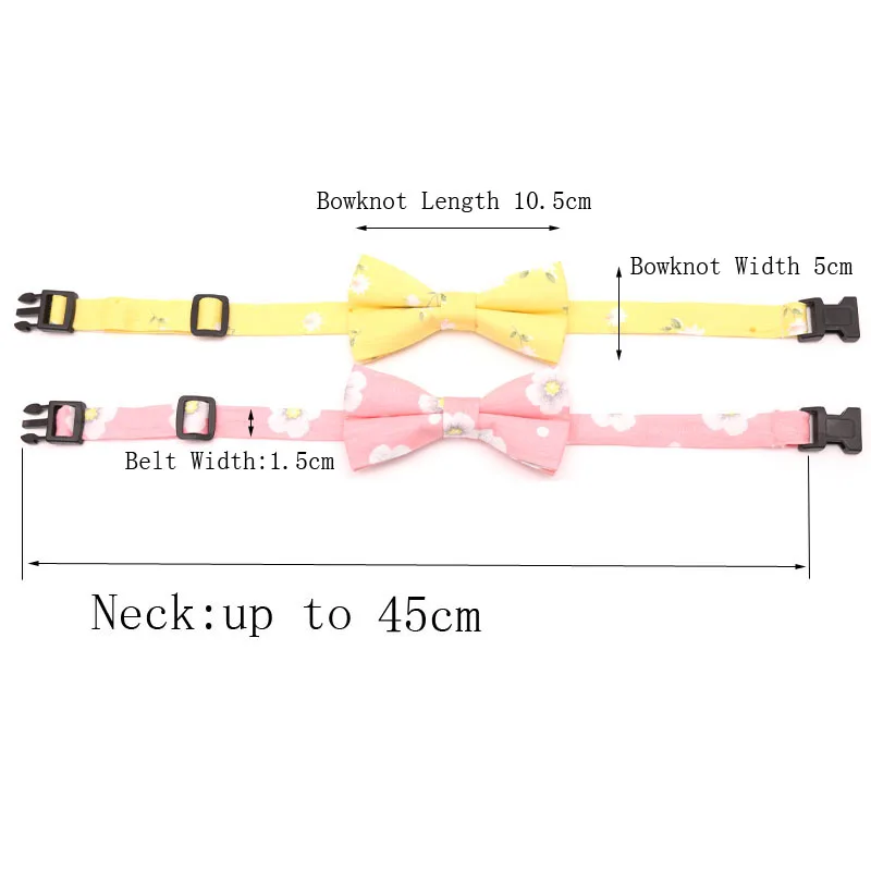 PNT005-12