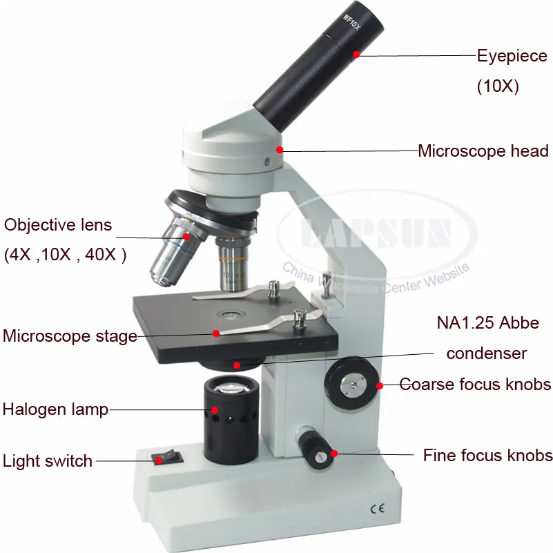 40X 100X 400X Compound Advance Biological Student Lab Microscope Coarse