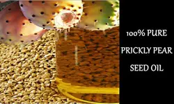 100% чистый натуральный холодный прессованный премиум класса марокканских семян опунции масла