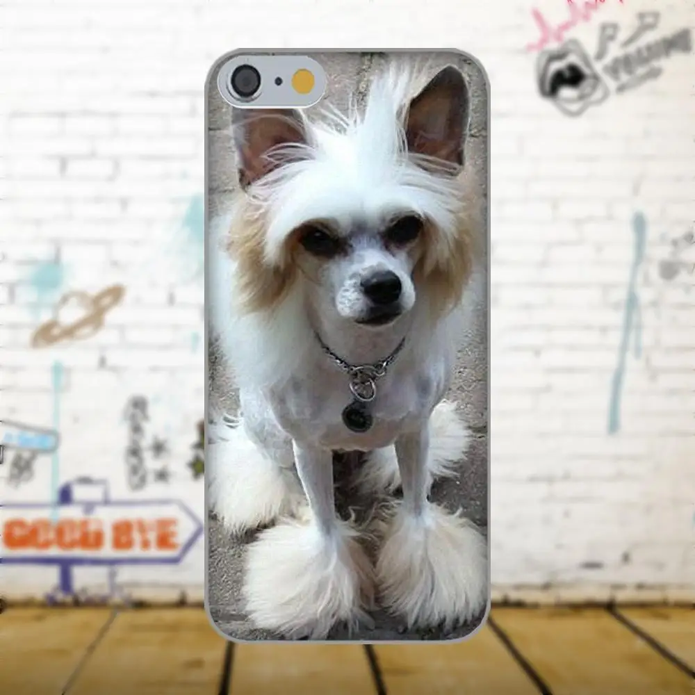 Чехол Oedmeb для Galaxy A3 A5 A7 J1 J3 J5 J7 2016 2017 S5 S6 S7 S8 S9 edge Plus чехол из ТПУ с собачьей породой