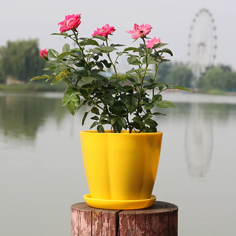 

Colorful Self Watering Round Planter Flower Pot Home Garden Decor Professional Green Plant