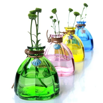 

Colorful Glass Vase Hydroponic Glass Vases For Dried Flower Home Decor