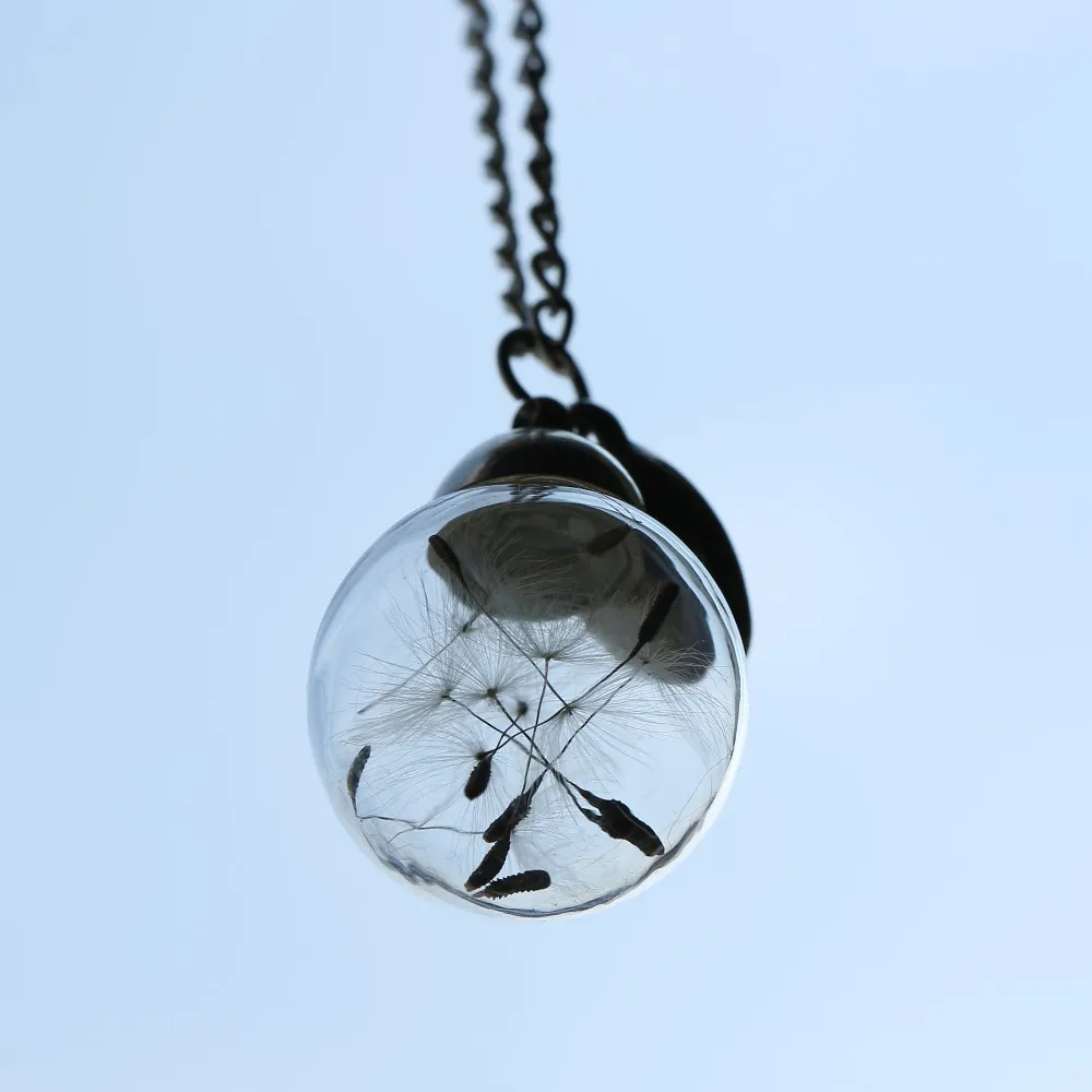 HH1A0670