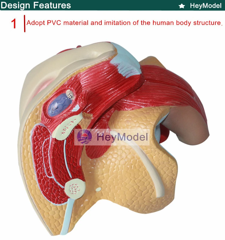 1.PVC_