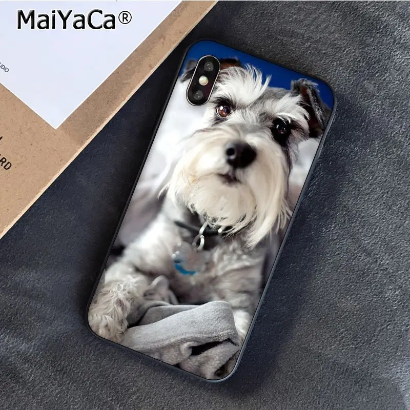 Lovely Dogs Schnauzer 