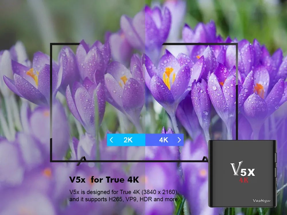 V5X-3