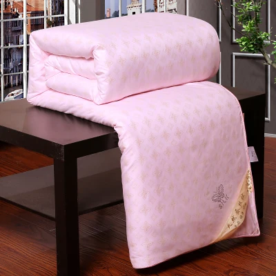 

Custom 100% Chinese Silk Blanket Winter Silk Comforter 100% Cotton Cover Spring Summer Autumn Winter Silk Quilt Full Queen King