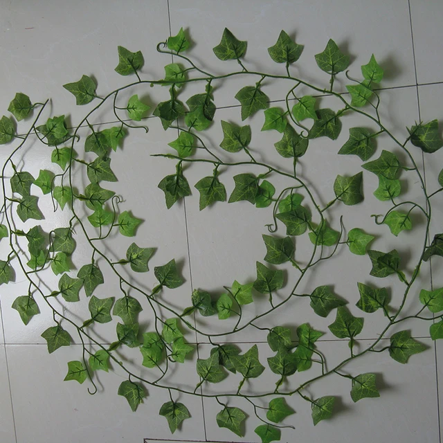 2 4 m sztuczny bluszcz zielony liść Garland rośliny Vine fake liści kwiaty Home Decor plastikowe sztuczne kwiat rattan String tanie i dobre opinie Sztuczne kwiaty Hybrydowy z mocniej Strona Łańcuch kwiatów Kawałek 0 05 kg (0 11 funta) 10 cm x 15cm x 10 cm (3 94 cala x 5 91 cala x 3 94 cala) 2 4 m sztuczny bluszcz zielony liść Garland rośliny Vine fake liści kwiaty Home Decor plastikowe sztuczne kwiat rattan String tanie i dobre opinie Sztuczne kwiaty Hybrydowy z mocniej Strona Łańcuch kwiatów Kawałek 0 05 kg (0 11 funta) 10 cm x 15cm x 10 cm (3 94 cala x 5 91 cala x 3 94 cala)