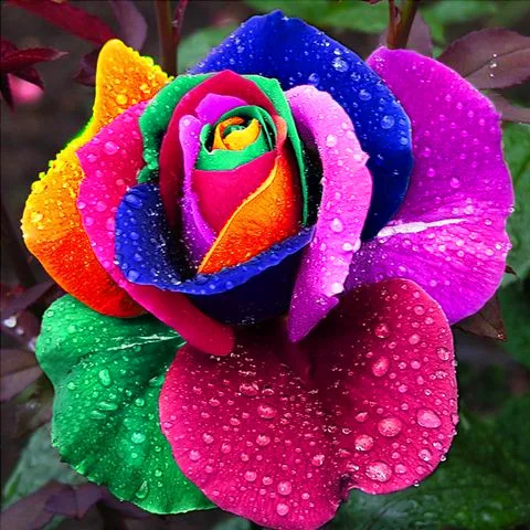 Цветочный бонсай Роза садовое растение бонсай смешивают Цвет декоративное растение для сада 10 шт