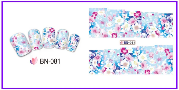 BN-081