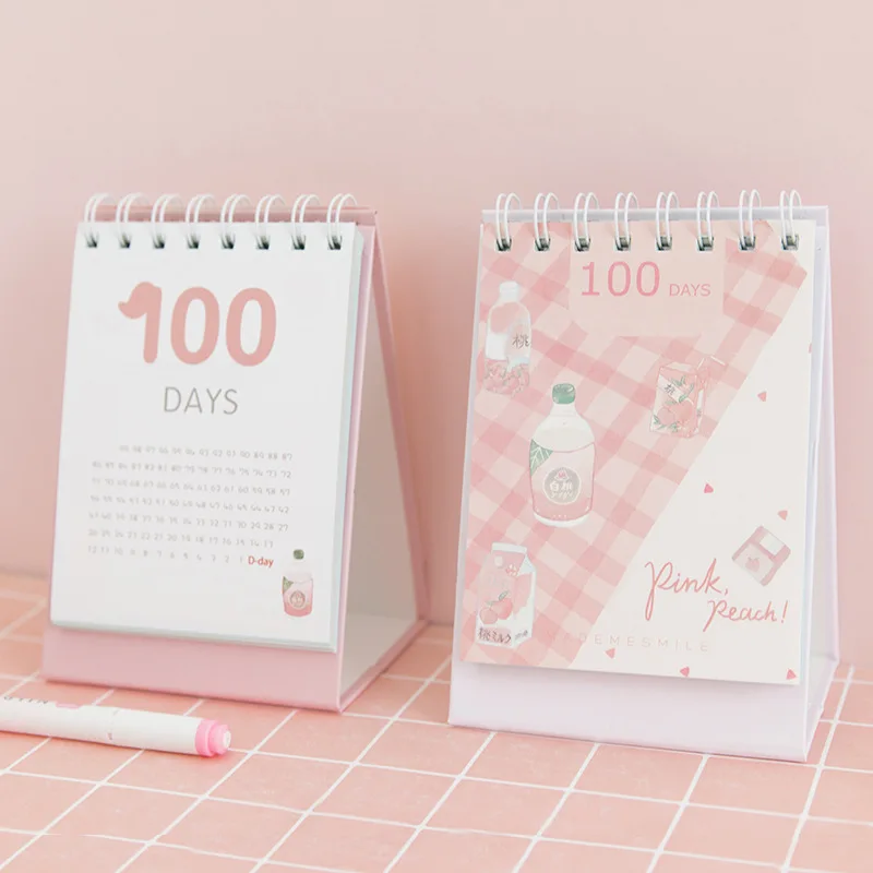 

100 Days DIY Plan Coil Book Check List 50 Sheets Desk Agenda Gift