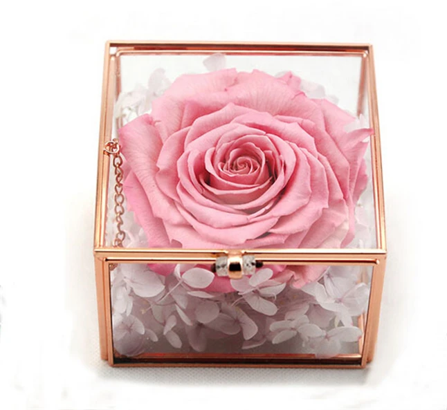 Cube Shape Geometric Terrariums2.jpg