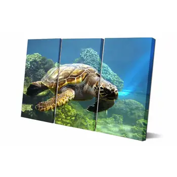 

Drop shipping Panel printed painting sea turtle Canvas Wall Art Picture Home Decoration Living Room Modern painting LS234