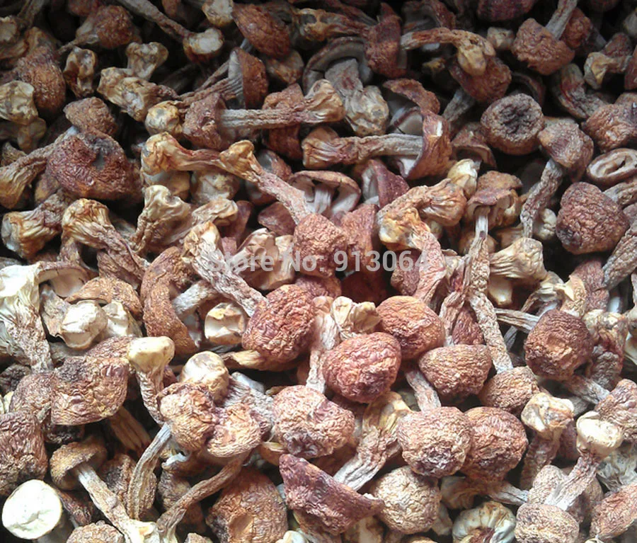 

0.5kg Net weight new goods wholesale Yunnan mushroom Agaricus blazei Murrill / Himematsutake/Kawaariharatake for health food