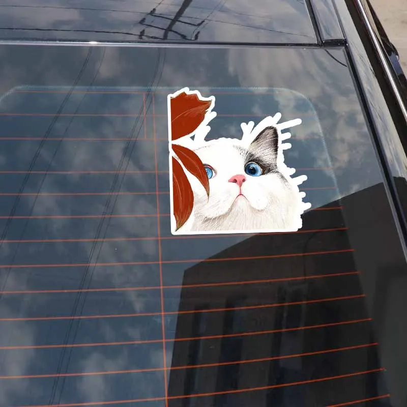 84