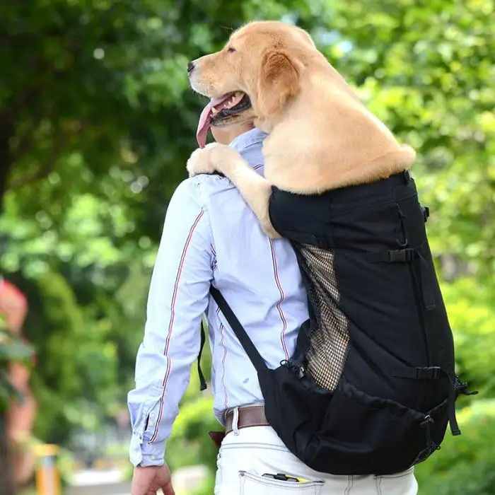 Рюкзак для домашних животных собак кошачья переноска щенок на открытом воздухе бейсболка для езды и походов Сумка-тоут для путешествий LE66