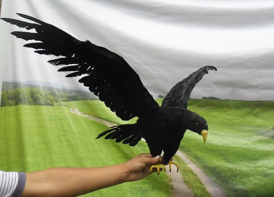Achetez en Gros noir grand oiseau en Ligne à des